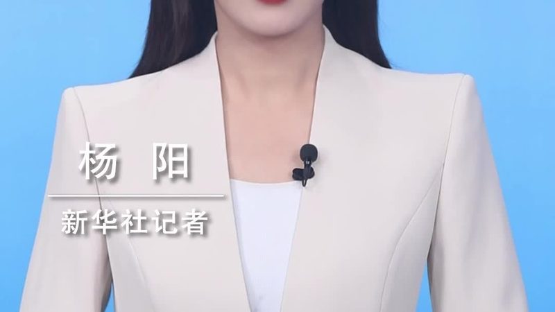 研发外包与内包：两种模式的深入解析